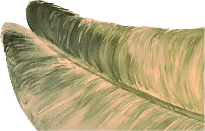 Decorative leaf