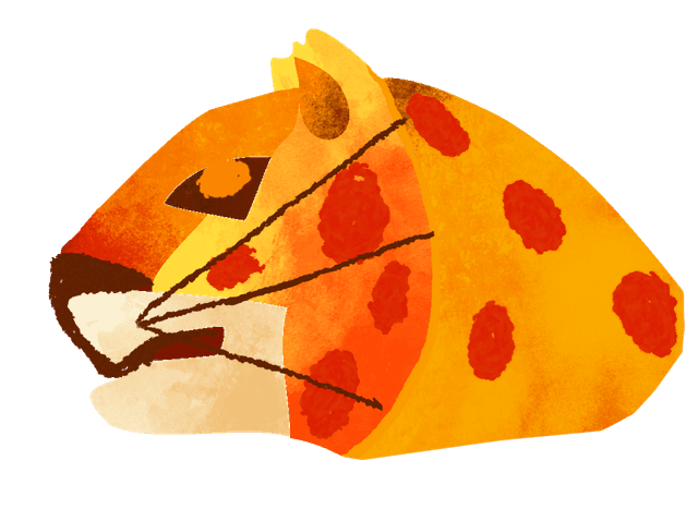 Onca illustration