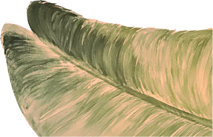 Decorative leaf