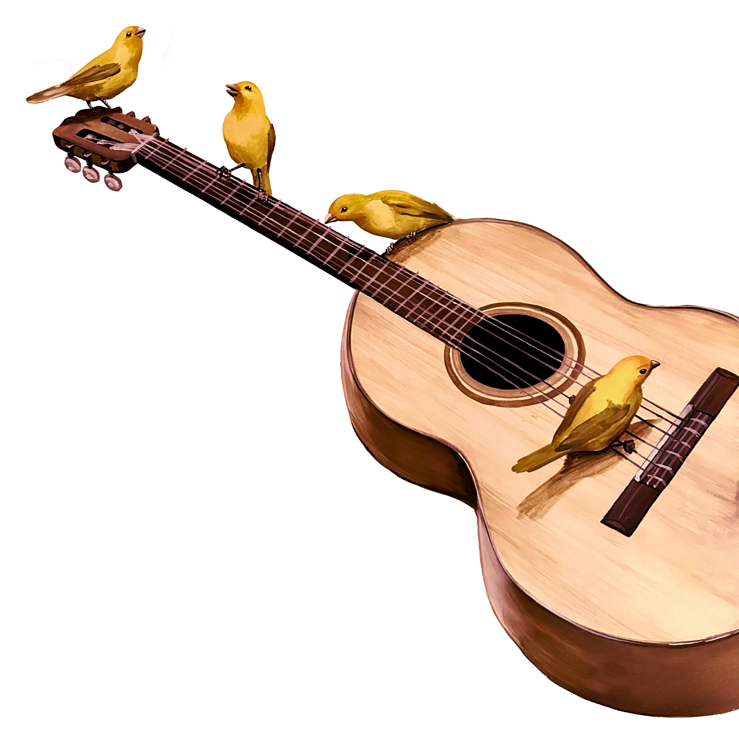 Guitar with canaries