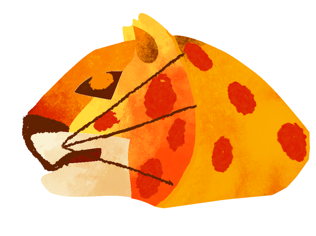 Onca illustration